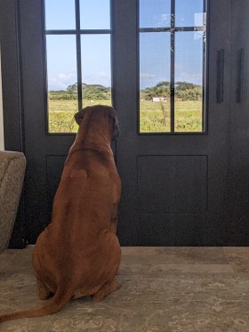 PXL_20221220_214615817.MP